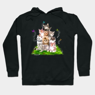 Kitten Lover funny Hoodie